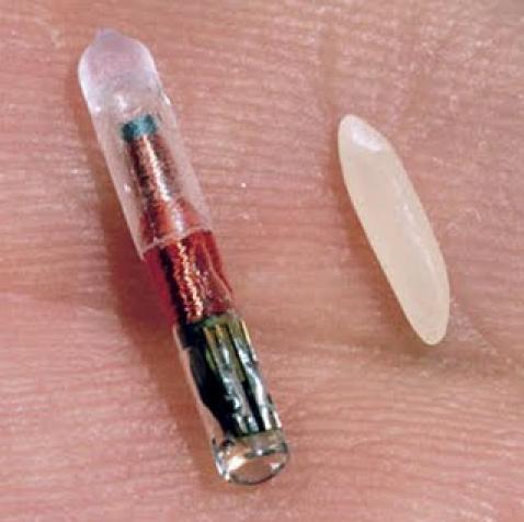 Chip RFID al lado de un grano de arroz. Fuente: Wikimedia.